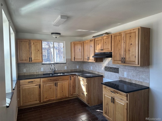 kitchen with dark wood-style floors, decorative backsplash, a sink, and under cabinet range hood