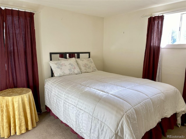 1516 Mount Massive Dr, Leadville, CO 80461 - photo 10