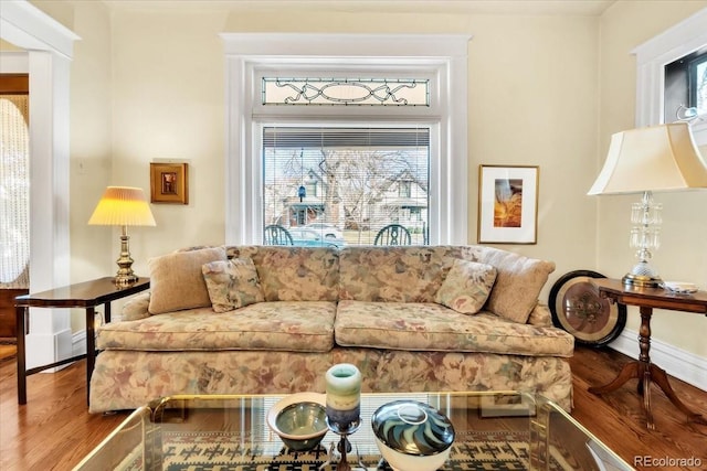 living room featuring hardwood / wood-style flooring