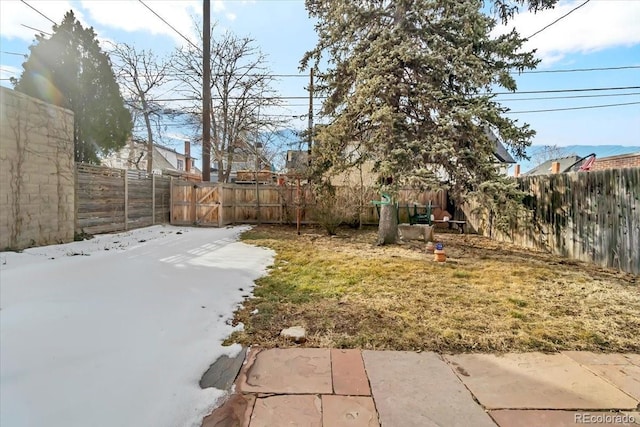 view of yard with a patio area