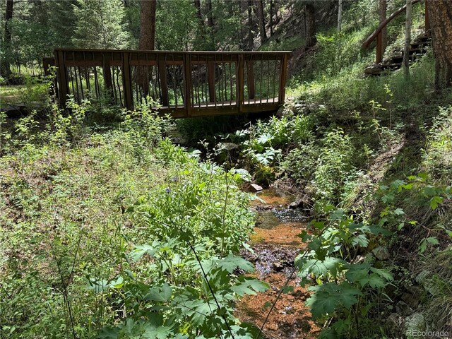 9716 Canon Dr, Sedalia, CO 80135 - photo 42