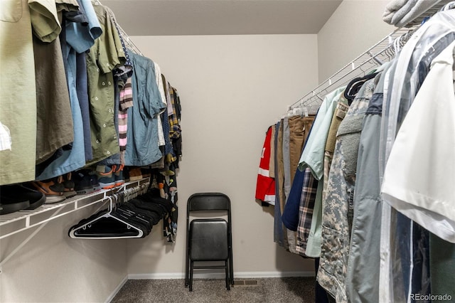 4626 Dancing Rain Way, Colorado Springs, CO 80911 - spacious closet featuring carpet floors
