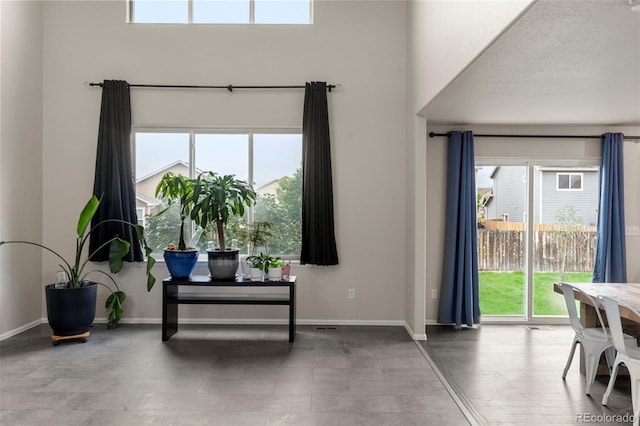 4626 Dancing Rain Way, Colorado Springs, CO 80911 - foyer featuring plenty of natural light and a towering ceiling