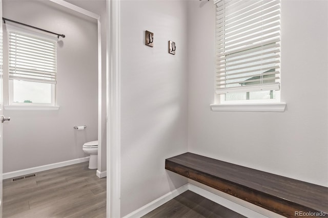 6990 E 132nd Pl, Thornton, CO 80602 - bathroom featuring healthy amount of natural light and wood finished floors
