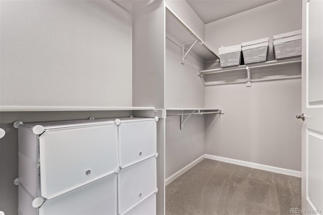 6990 E 132nd Pl, Thornton, CO 80602 - spacious closet featuring carpet