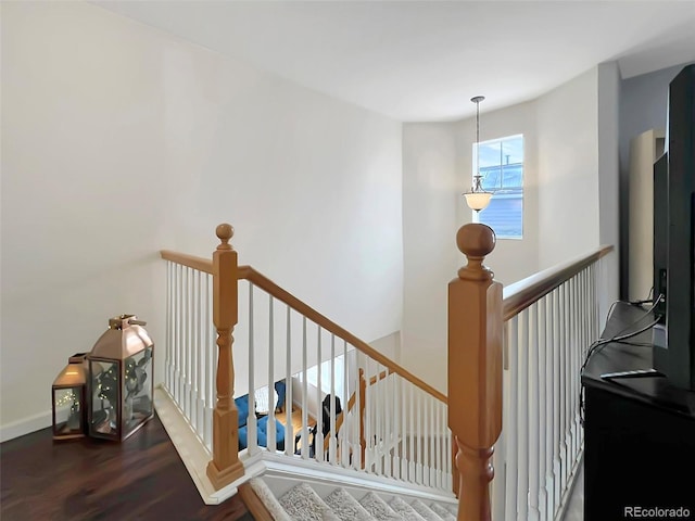 stairs with hardwood / wood-style floors