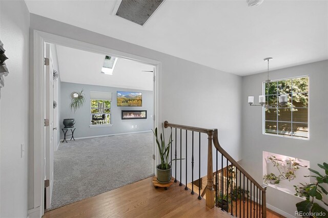 7773 Gunsight Pass, Littleton, CO 80127 - hallway featuring an upstairs landing, baseboards, wood finished floors, a chandelier, and carpet