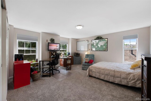 7773 Gunsight Pass, Littleton, CO 80127 - carpeted bedroom featuring multiple windows and a desk