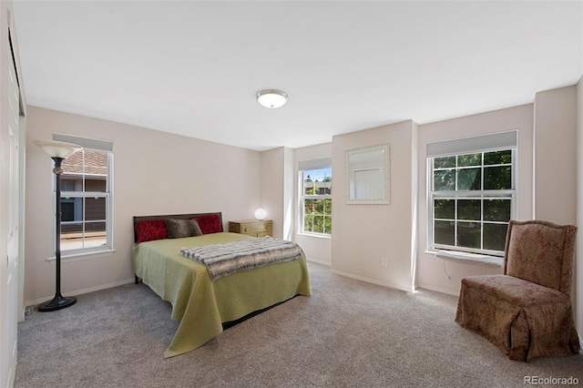 7773 Gunsight Pass, Littleton, CO 80127 - carpeted bedroom with multiple windows and baseboards