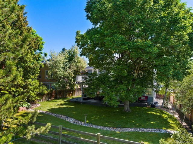 7773 Gunsight Pass, Littleton, CO 80127 - view of yard