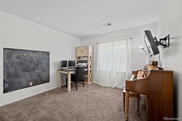 3767 E Phillips Cir, Centennial, CO 80122 - office featuring carpet flooring
