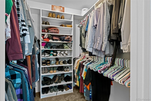 3767 E Phillips Cir, Centennial, CO 80122 - spacious closet with carpet flooring