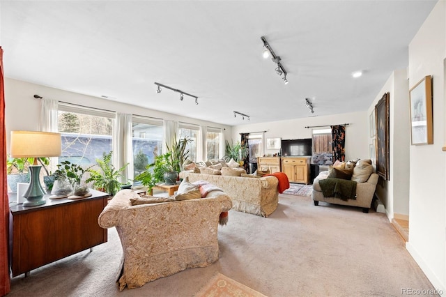 2041 Virginia St, Idaho Springs, CO 80452 - living room with baseboards, light carpet, and track lighting