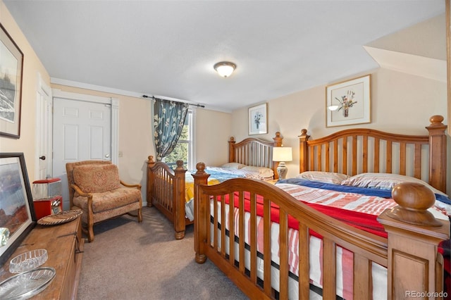 2041 Virginia St, Idaho Springs, CO 80452 - view of carpeted bedroom