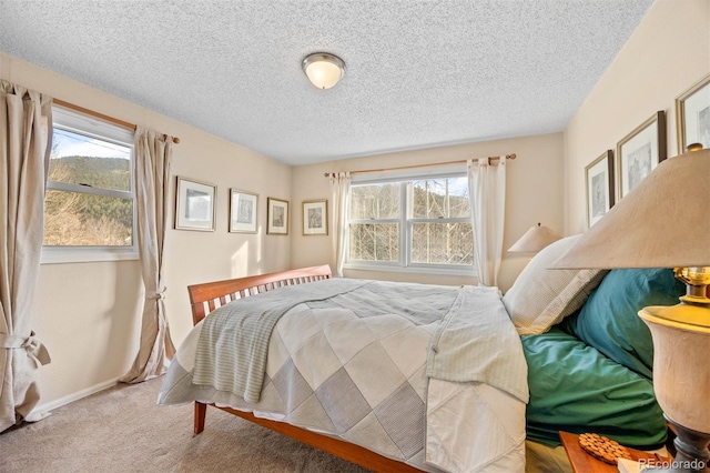 2041 Virginia St, Idaho Springs, CO 80452 - bedroom featuring a textured ceiling, carpet flooring, and baseboards