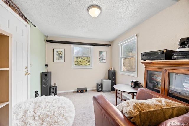 2041 Virginia St, Idaho Springs, CO 80452 - sitting room featuring baseboards, carpet flooring, and a textured ceiling