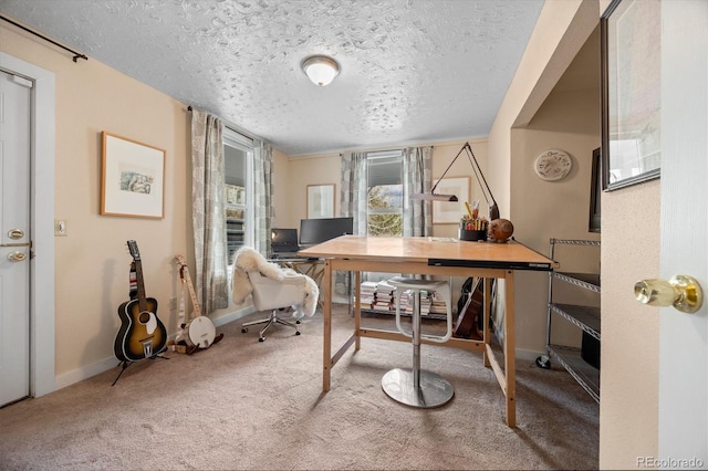2041 Virginia St, Idaho Springs, CO 80452 - carpeted office with baseboards and a textured ceiling