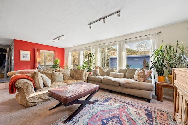 2041 Virginia St, Idaho Springs, CO 80452 - carpeted living area with plenty of natural light and track lighting