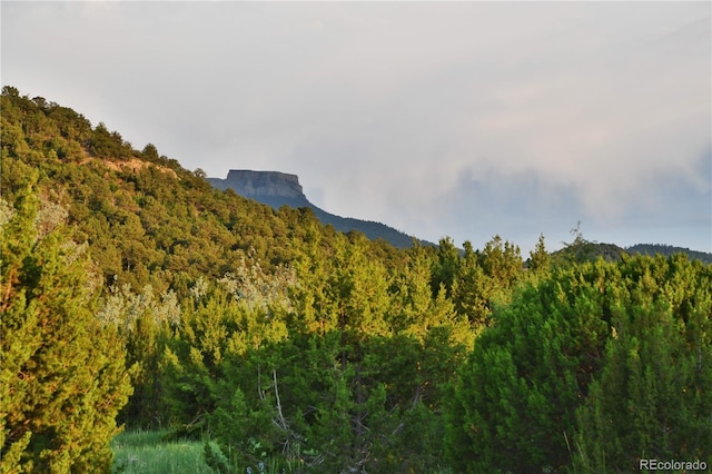 406 Riata Dr, Trinidad, CO 81082