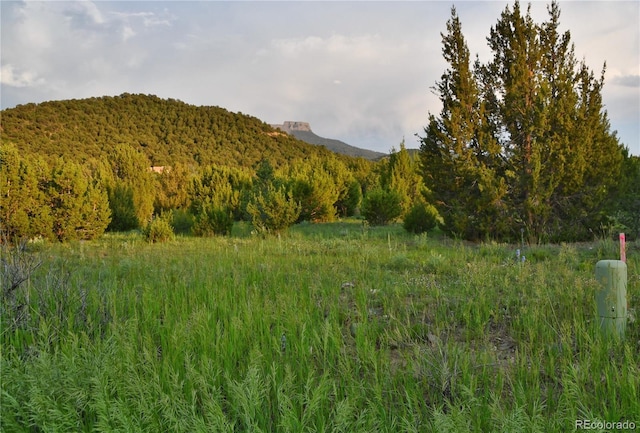 406 Riata Dr, Trinidad, CO 81082