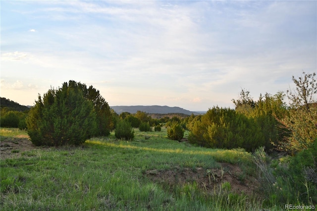 406 Riata Dr, Trinidad, CO 81082