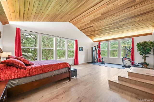 26499 W St, Conifer, CO 80433 - bedroom with vaulted ceiling, wood ceiling, and wood finished floors