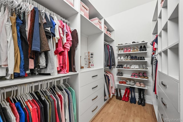26499 W St, Conifer, CO 80433 - spacious closet with light wood-style floors