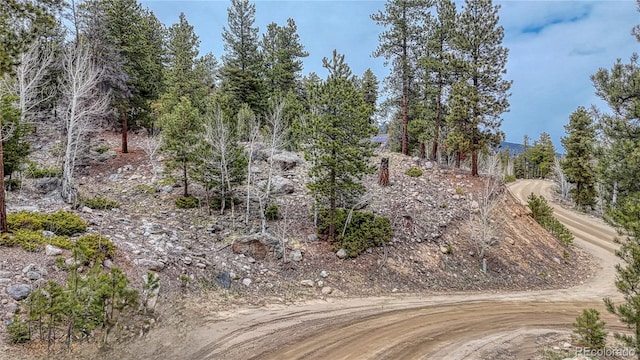 30176 Mountaintop Dr, Buena Vista, CO 81211