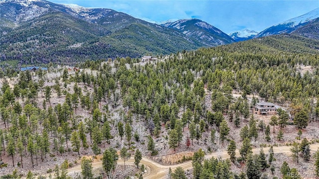 30176 Mountaintop Dr, Buena Vista, CO 81211
