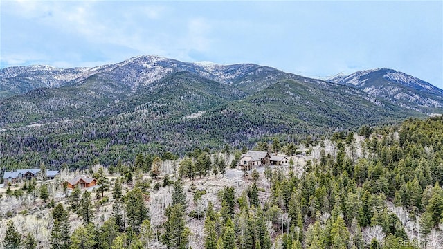 30176 Mountaintop Dr, Buena Vista, CO 81211