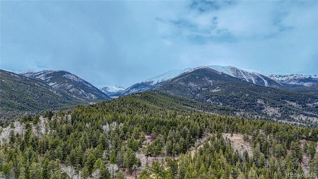 30176 Mountaintop Dr, Buena Vista, CO 81211