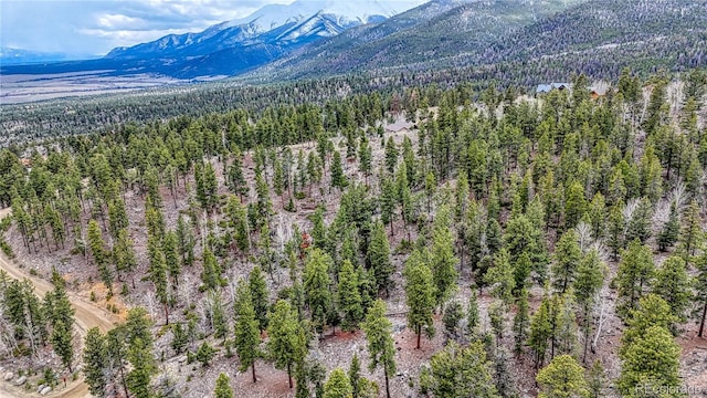 30176 Mountaintop Dr, Buena Vista, CO 81211