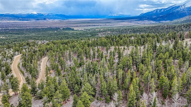 30176 Mountaintop Dr, Buena Vista, CO 81211