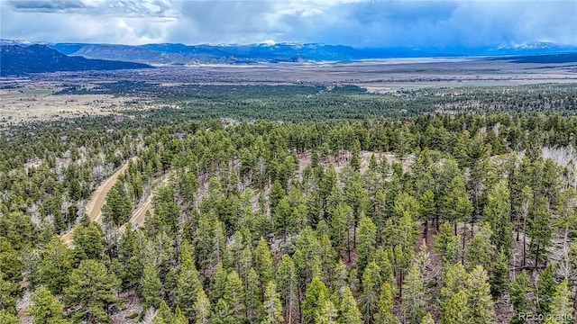 30176 Mountaintop Dr, Buena Vista, CO 81211