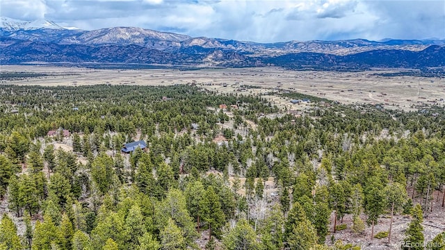 30176 Mountaintop Dr, Buena Vista, CO 81211