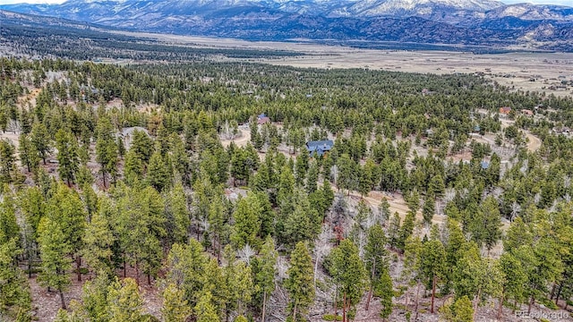 30176 Mountaintop Dr, Buena Vista, CO 81211