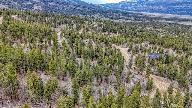 30176 Mountaintop Dr, Buena Vista, CO 81211