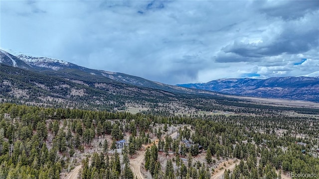 30176 Mountaintop Dr, Buena Vista, CO 81211