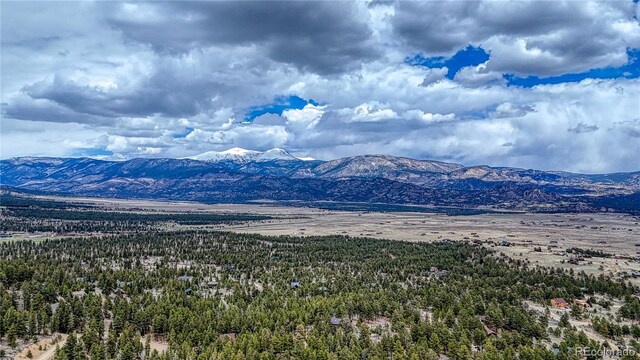 30176 Mountaintop Dr, Buena Vista, CO 81211