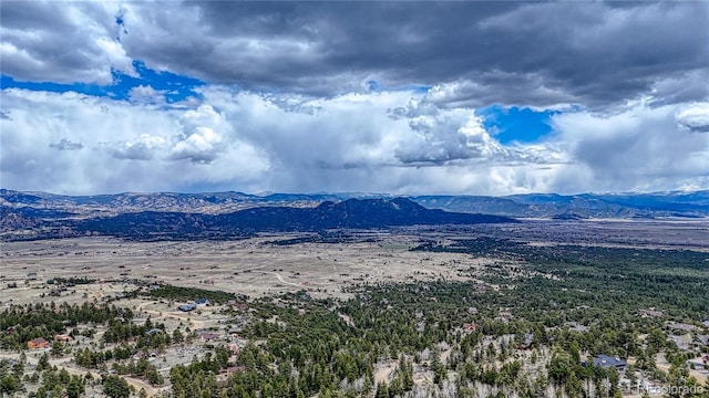 30176 Mountaintop Dr, Buena Vista, CO 81211