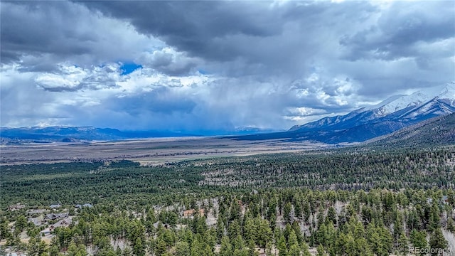 30176 Mountaintop Dr, Buena Vista, CO 81211