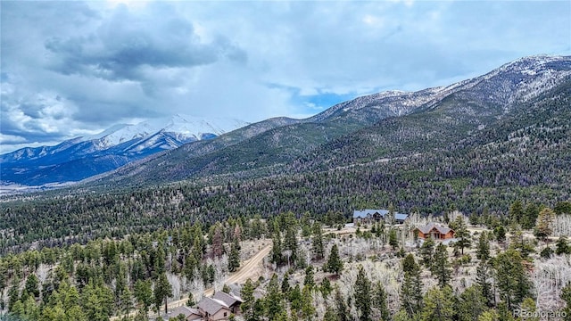 30176 Mountaintop Dr, Buena Vista, CO 81211