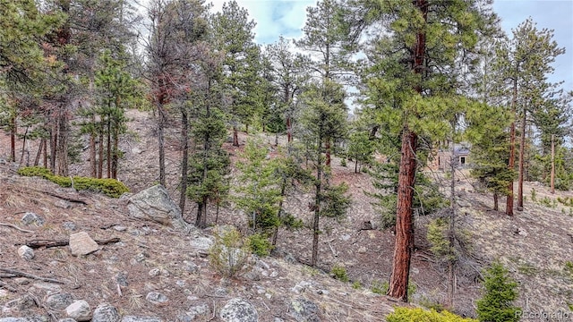 30176 Mountaintop Dr, Buena Vista, CO 81211
