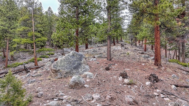 30176 Mountaintop Dr, Buena Vista, CO 81211
