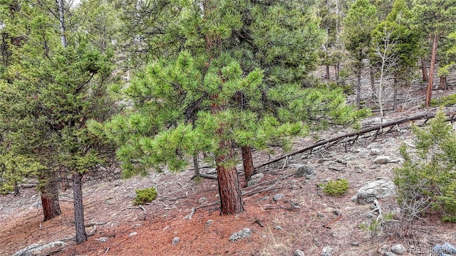 30176 Mountaintop Dr, Buena Vista, CO 81211