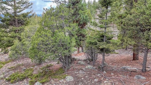 30176 Mountaintop Dr, Buena Vista, CO 81211
