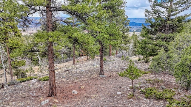 30176 Mountaintop Dr, Buena Vista, CO 81211