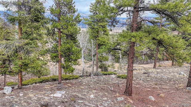 30176 Mountaintop Dr, Buena Vista, CO 81211