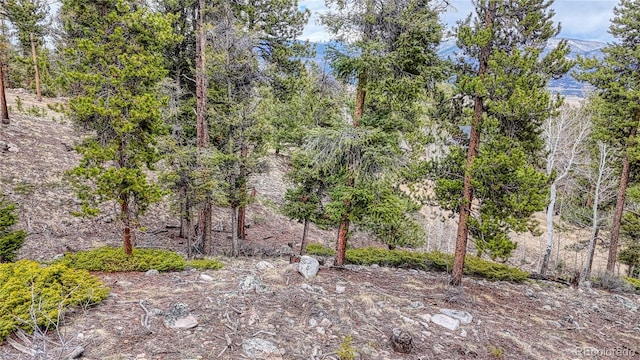 30176 Mountaintop Dr, Buena Vista, CO 81211