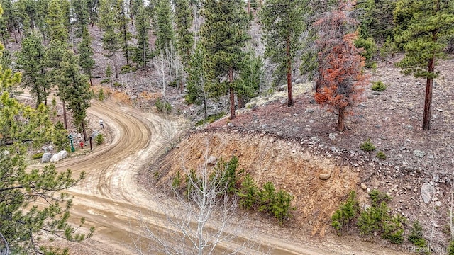 30176 Mountaintop Dr, Buena Vista, CO 81211